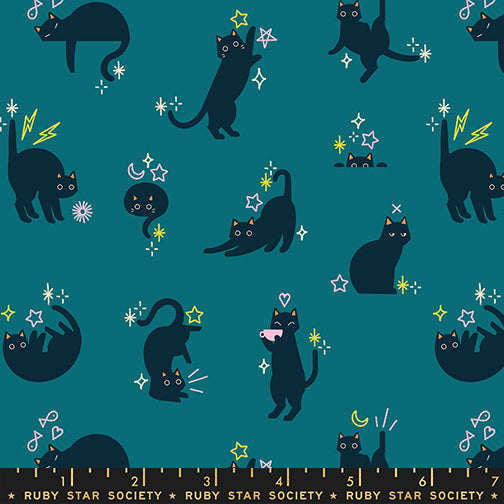 Catwalk in Storytime