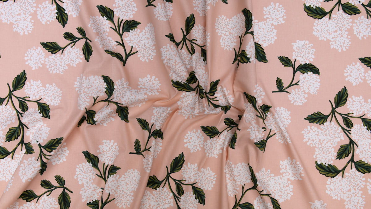 Hydrangea in Blush - LAWN