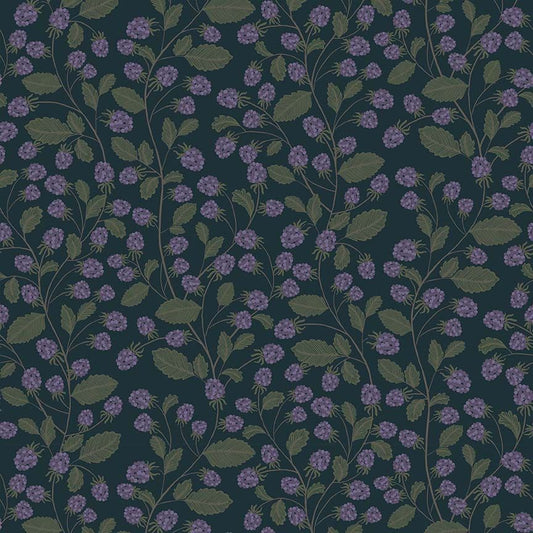 Blueberry Bliss in Midnight