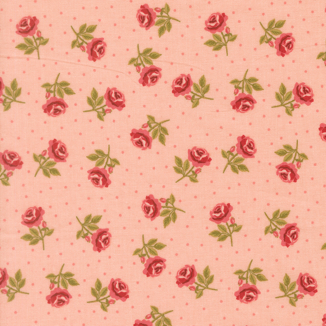 Roses Are Red in Blush
