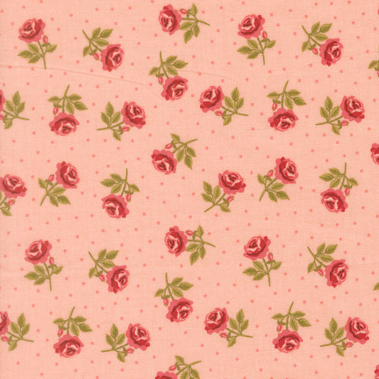Roses Are Red in Blush