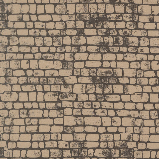 Pathway in Stone