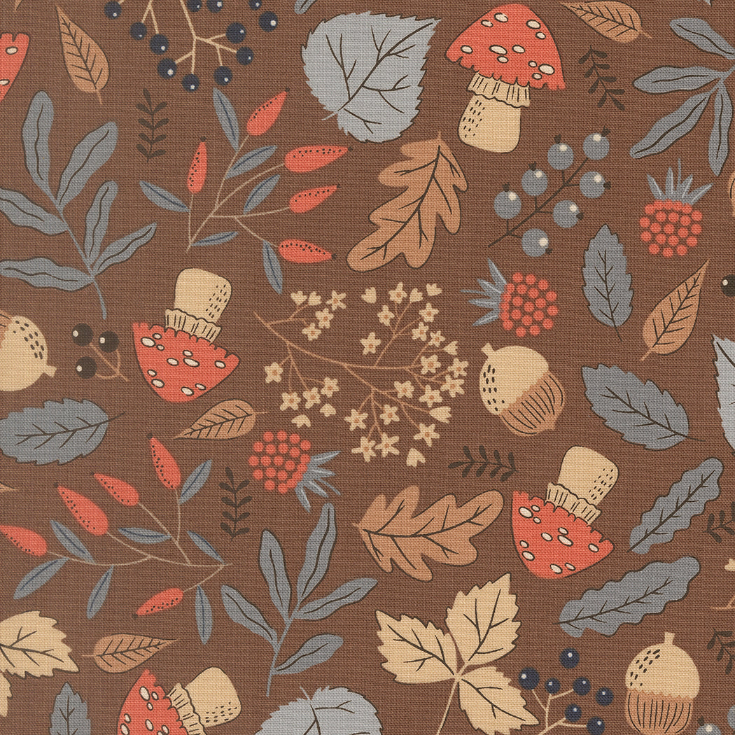 Forest Finds in Bark