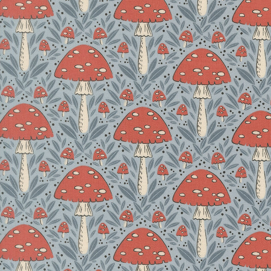 Mushroom in Sky