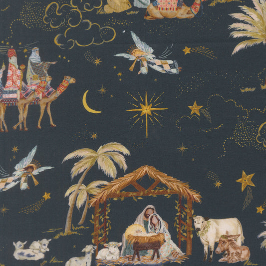 Silent Night in Night