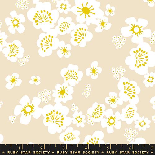 Hana in Parchment
