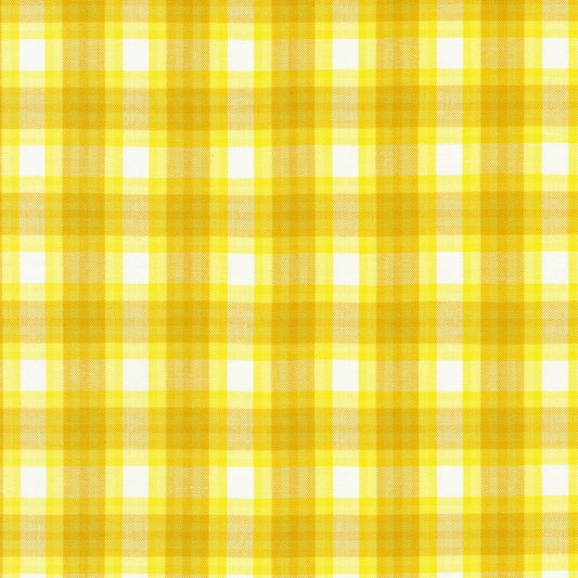 Kitchen Window Wovens- Citrus Gradient