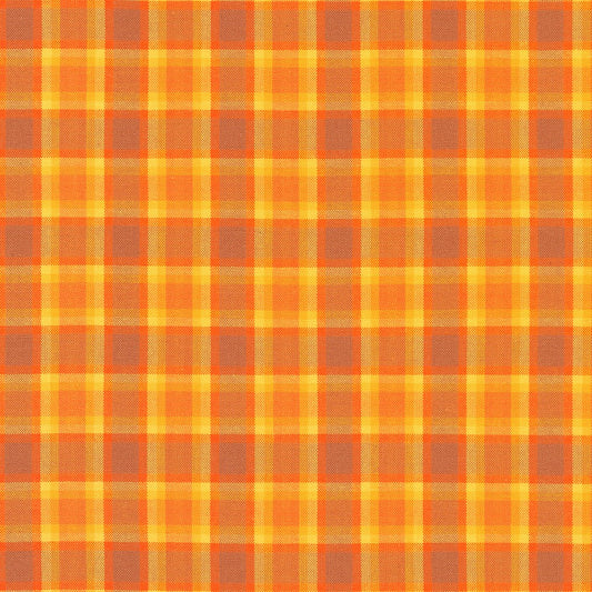 Kitchen Window Wovens- Spice Gradient