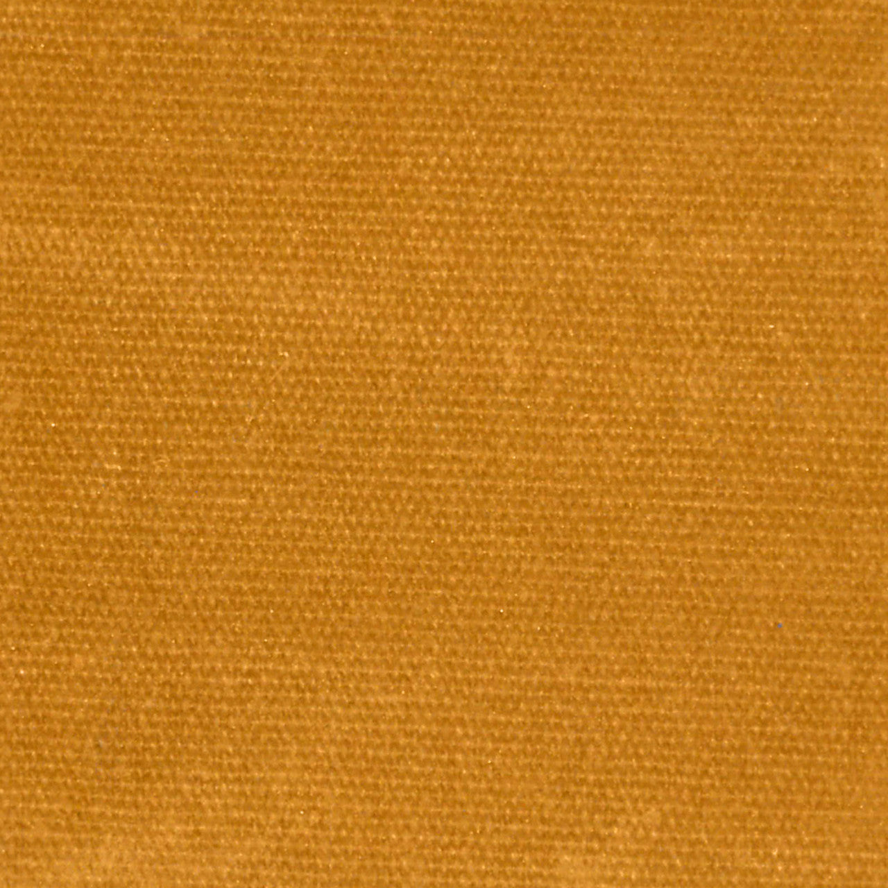 Waxed Canvas in Amber