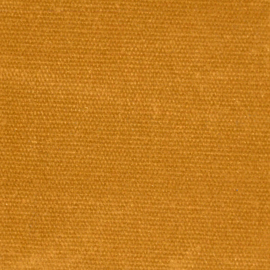 Waxed Canvas in Amber