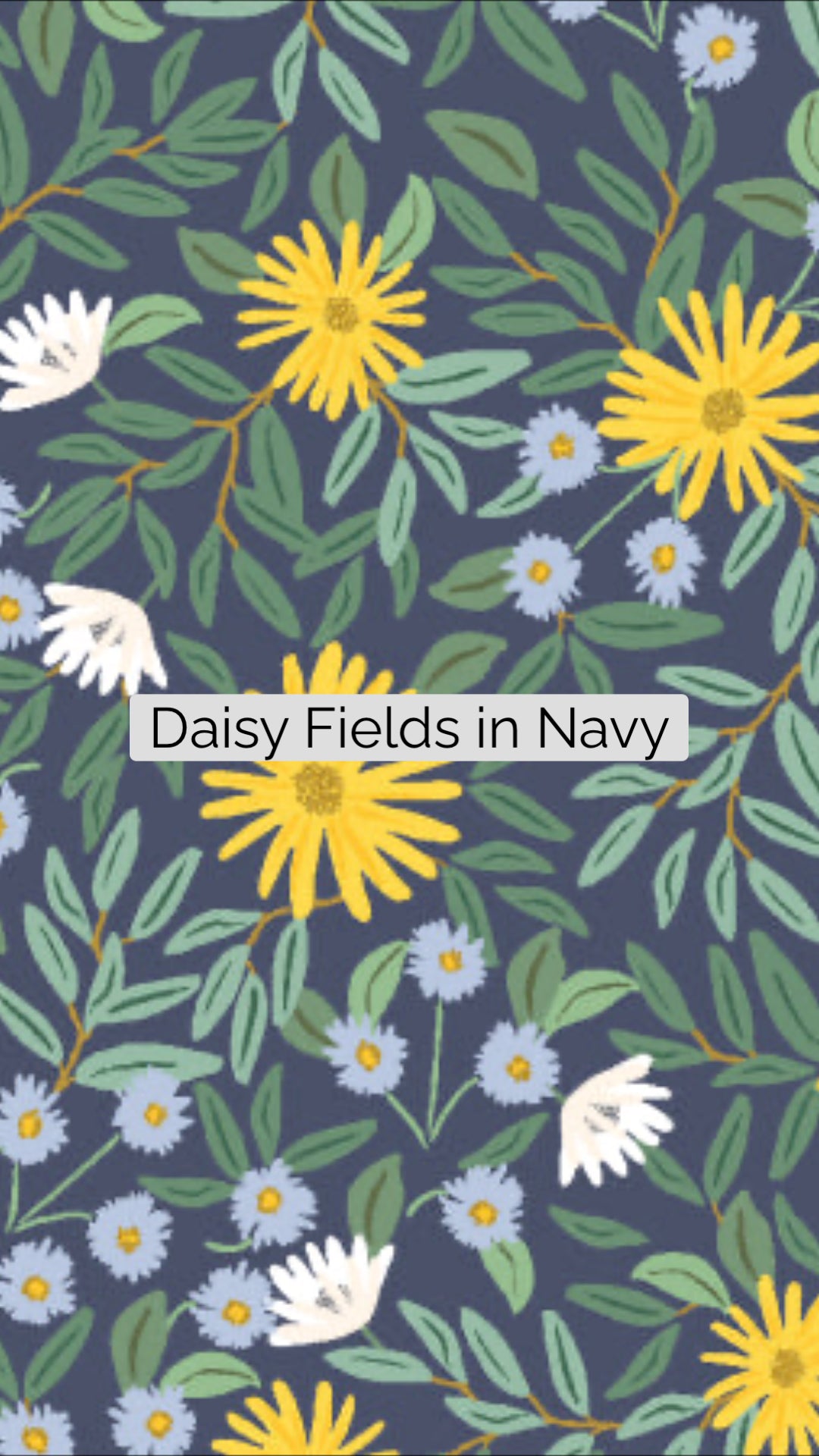 Kids Canvas Apron Kit