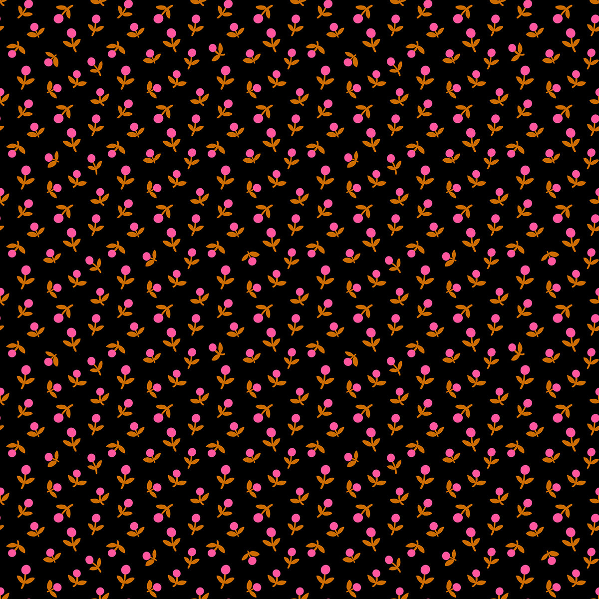 Sprout in Black