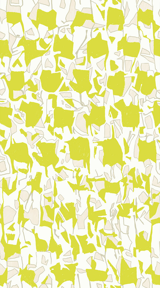 Explore in Citron