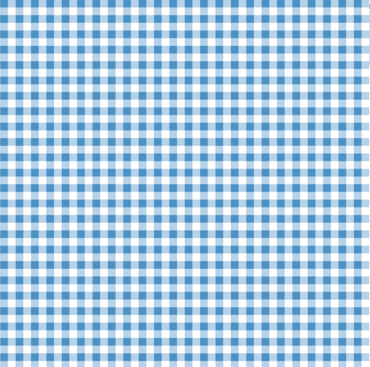 Flannel Gingham in Aqua