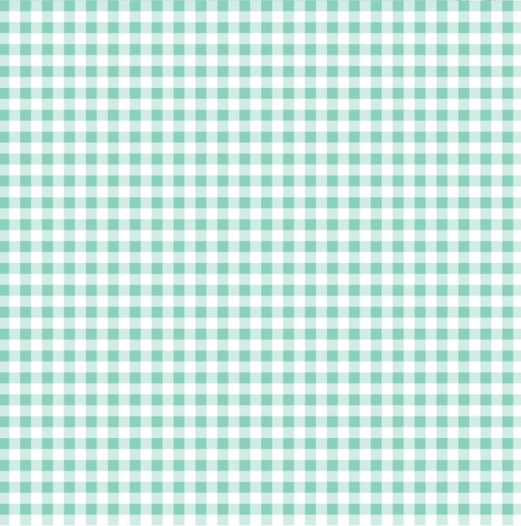 Flannel Gingham in Mint