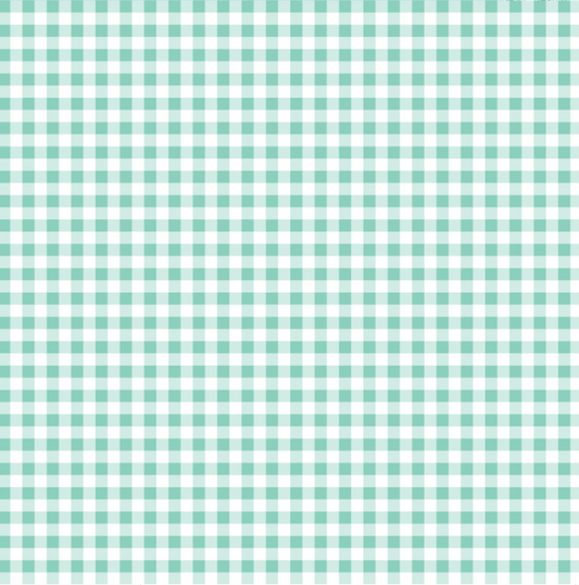 Flannel Gingham in Mint