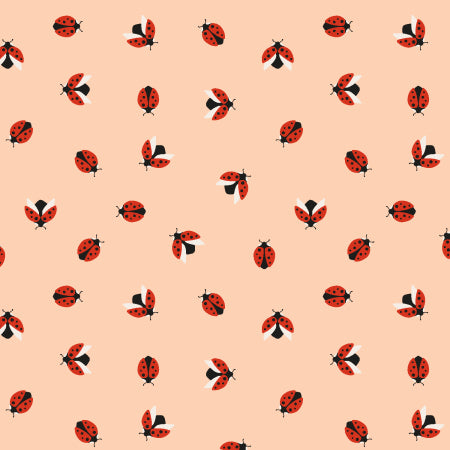 Ladybug in Red