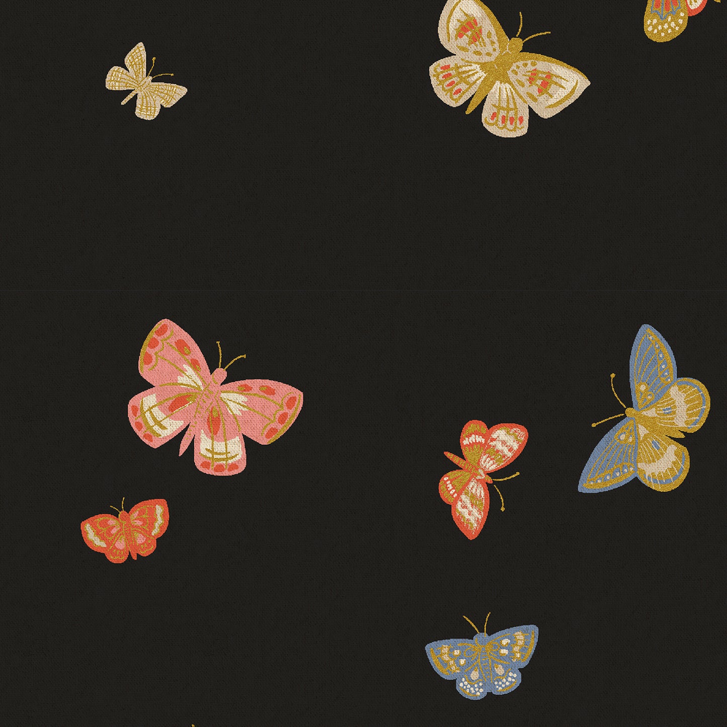 Butterfly House in Black - CANVAS