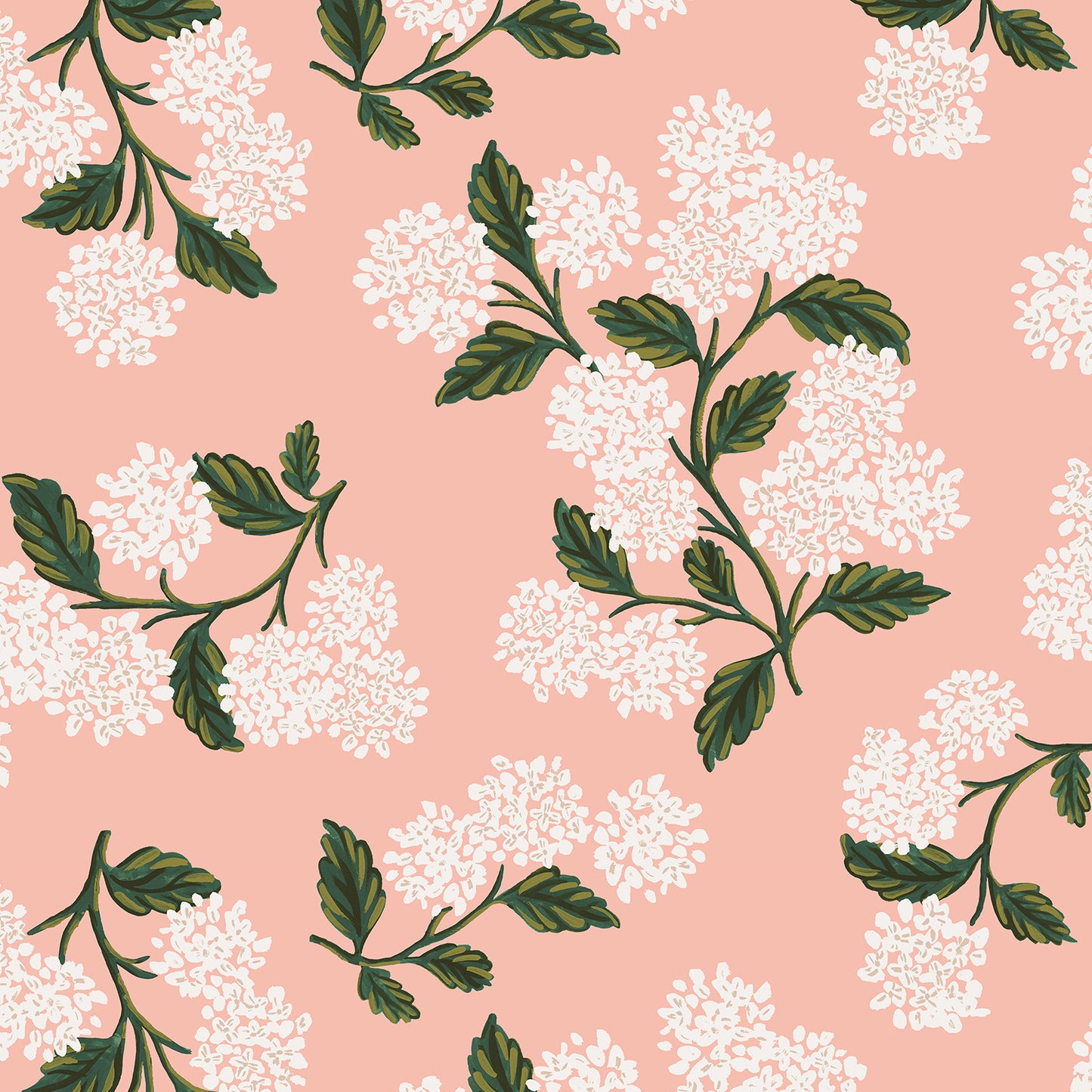 Hydrangea in Blush - LAWN
