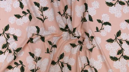 Hydrangea in Blush - LAWN